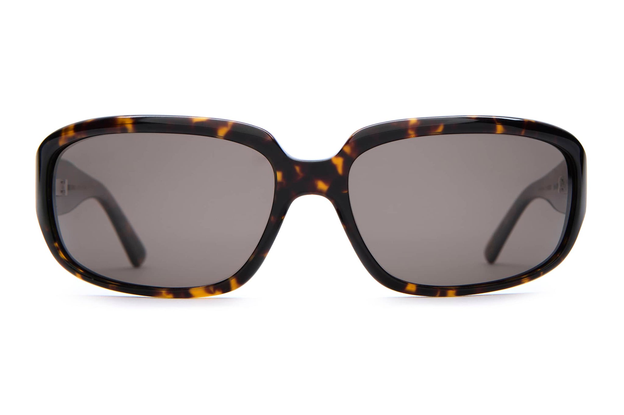 The Stone Echo - Dark Tortoise Bio-The Stone Echo - Dark Tortoise Bio-1