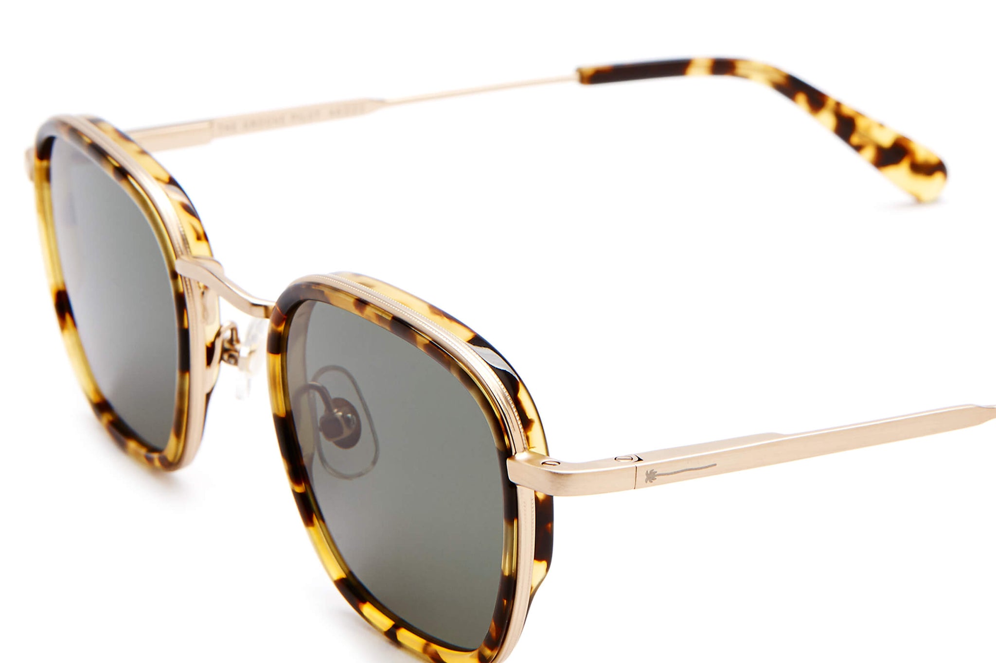 The Groove Pilot - Tokyo Tortoise-The Groove Pilot - Tokyo Tortoise-7